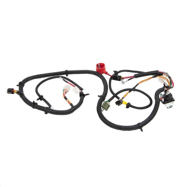Harness-Main M-Pt